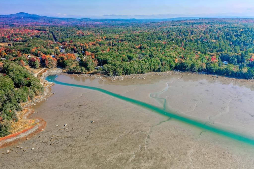 Aerial view of the emerald tidal channel winding through the exposed Bagaduce cove flats at low tide, near the farmhouse in Penobscot, Maine.