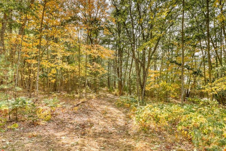 A leaf-strewn path winding through autumn woods toward the cove shoreline.